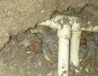 前锋卫生间测漏