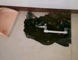 前锋卫生间测漏水多少钱